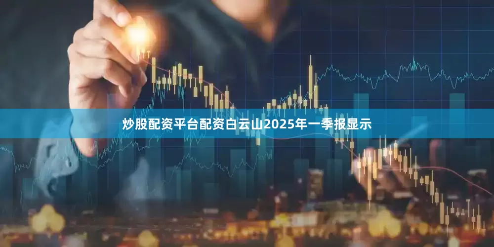 炒股配资平台配资白云山2025年一季报显示