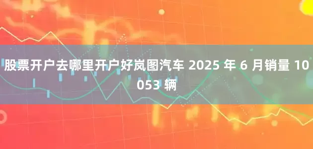 股票开户去哪里开户好岚图汽车 2025 年 6 月销量 10053 辆